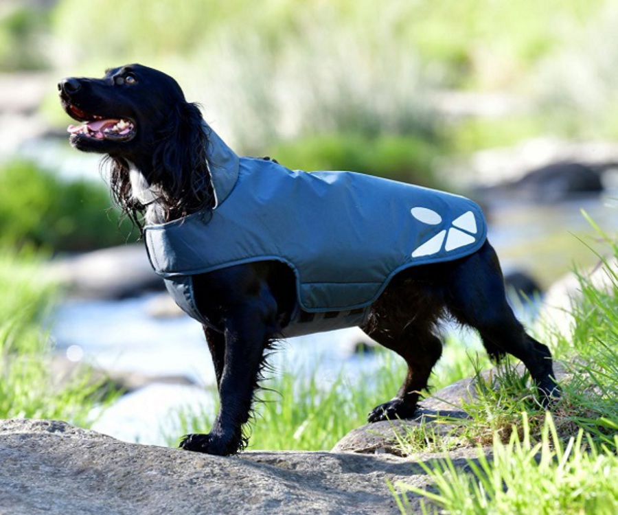 Weatherbeeta Explorer Dog Coat Lite image 1